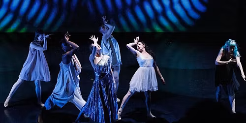 Alchemy Arts Collective presents an Evening of 3 Dance\/Film Collaborations