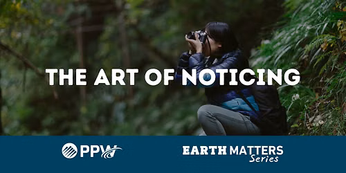 The Art of Noticing