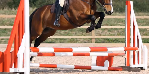 Easter Extravaganza Unaffiiliated Showjumping (RM Horses UK League Show 1) 