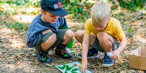 Acorn Explorers Holiday Club
