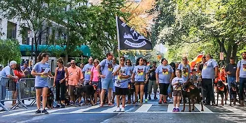 The 2026 German American Steuben Parade - DGNYC Marches 5th Ave