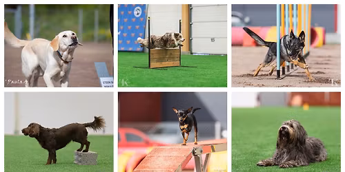 Tamskin Huhtikuun Tokokoe