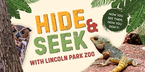 Hide & Seek with Lincoln Park Zoo