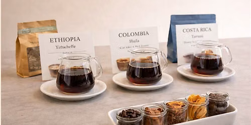Coffee Intro 101