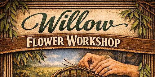Willow workshop 