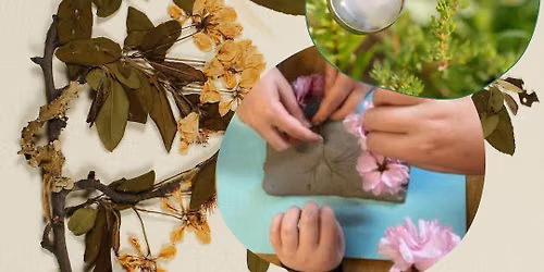 Wild Garden Adventures: Eco Explorers
