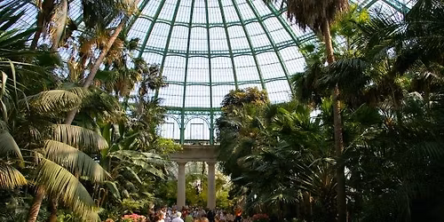 Bruxelles serres royales