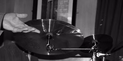 Click Beetle in Hull