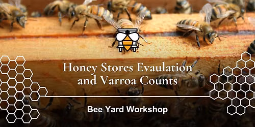Varroa Counts and Honey Stores Evaluation