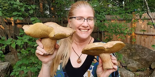 Assabet Co-op Market - Wild Foraging Class With Ms. G.!