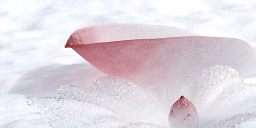 \u91ce\u7530 \u6717\u5b50  AKIKO  NODA  Glass Exhibition\u3000 Lotus in Water