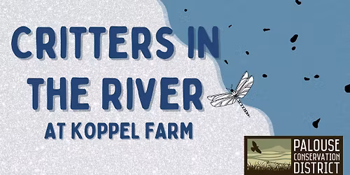 Critters in the River | Macroinvertebrate Exploration in the South Fork