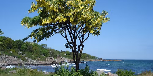 Sammenkomst i Den Danske Koloni i Salzburg