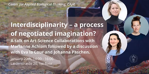 Interdisciplinarity - a process of negotiated imagination?