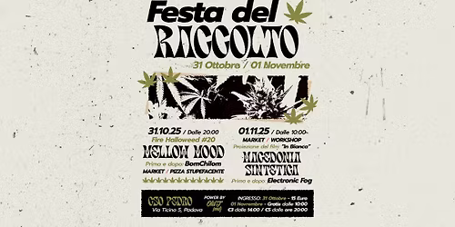 31.10 - 01.11 \/\/ FESTA DEL RACCOLTO - Musica live & dj set + Film + Market + Workshop @ CSO Pedro
