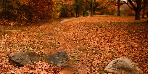 Fall Mini Photo Session 
