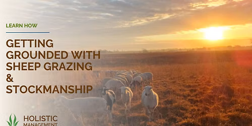 Sheep Grazing & Stockmanship Workshop