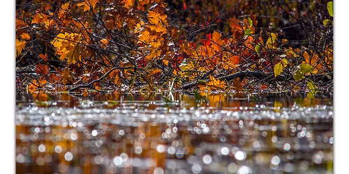 3rd Annual Reclaim One Fall Gala