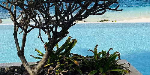 Mermaids in Mauritius 