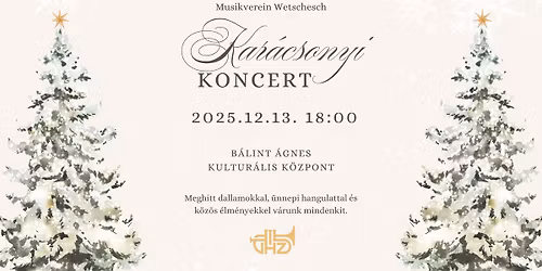 VHZ Kar\u00e1csonyi Aj\u00e1nd\u00e9kkoncert