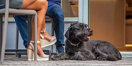 Long Beach Blind Date Matchmaking and Membership