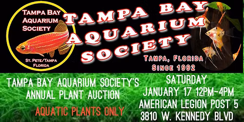 Tampa Bay Aquarium Society's January Plant Auction 
