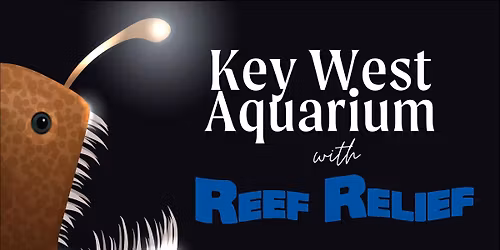 Locals Sunday With Reef Relief! 