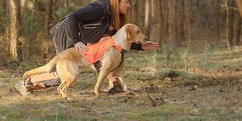 Praca g\u00f3rnym wiatrem oraz tropienie - Tr\u00f3jmiasto