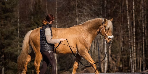 Dypdykk i kommunikasjon med hest 