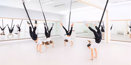 Bungee Fitness Beginner