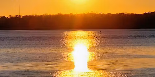 Friendsgiving Social