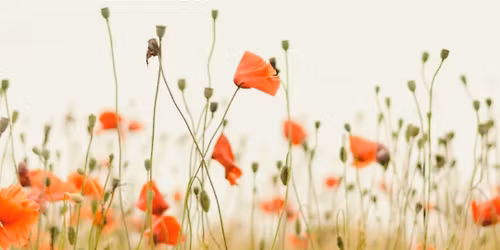 Miednica - trening & relaks