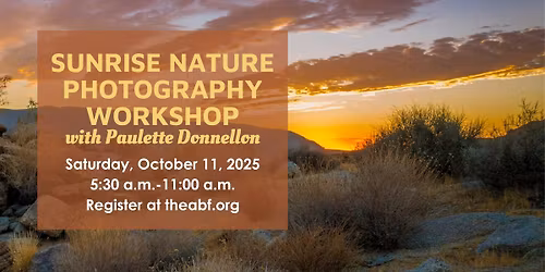 October Sunrise Nature Photography Workshop With Paulette Donnellon