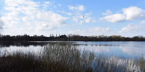 Noticing Nature: Poetry Workshop