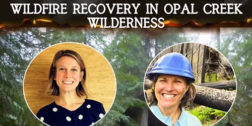 Restoring an Ancient Forest: Wildfire Recovery efforts in Opal Creek Wilderness 