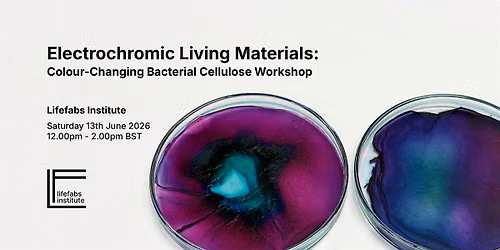 Electrochromic Living Materials: Colour-Changing Bacterial Cellulose
