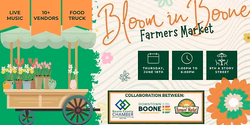 Bloom in Boone