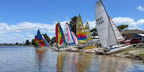 Arrows & Papertiger state\/national titles