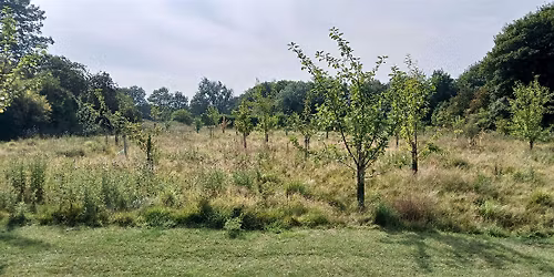 Hetton Park Community Orchard