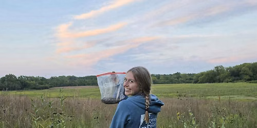 Seeds & Sunset - Spring Creek Longmeadow