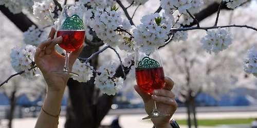 Natural Wine Tasting on the National Mall