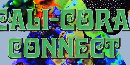 Reefapalooza 