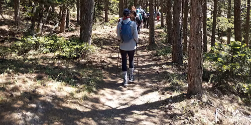 \u039a\u03c5\u03ba\u03bb\u03b9\u03ba\u03ae \u03a0\u03b5\u03b6\u03bf\u03c0\u03bf\u03c1\u03af\u03b1 \u03a0\u03ac\u03c1\u03bd\u03b7\u03b8\u03b1\u03c2 \u2013 \u0393\u03cd\u03c1\u03bf\u03c2 \u039a\u03b1\u03c1\u03b1\u03b2\u03cc\u03bb\u03b1\u03c2 & \u038c\u03c1\u03bd\u03b9\u03bf\u03c5