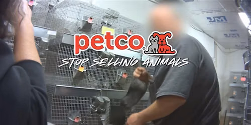 Protest Petco to Stop Selling Animals