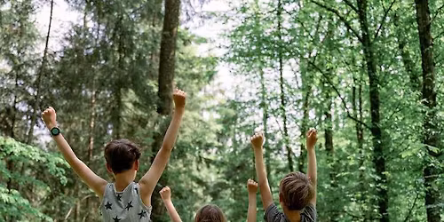 Kids Forest and Flow