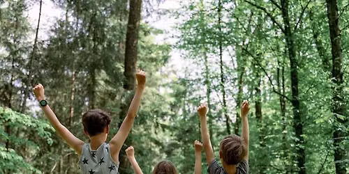 Kids Forest and Flow