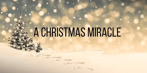 Christmas Miracle 13