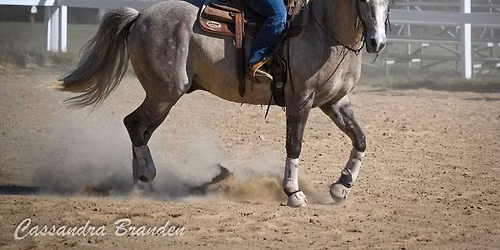 Michelle Jerry Heart & Hooves Horsemanship1-Day Ranch Riding Clinic