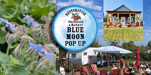Blue Moon Pop Up