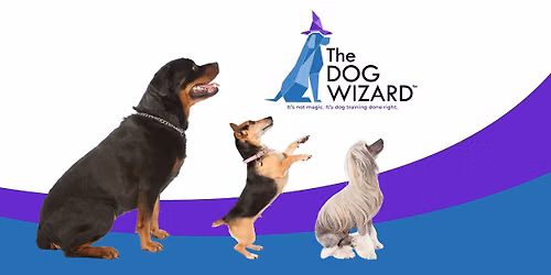Leash Training with the Dog Wizard